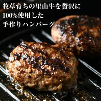 国産黒毛和牛 牧草育ちの里山牛100%使用！手作りハンバーグ 2kg (100g×20個） 黒毛和牛 和牛 肉 牛肉 国産 ハンバーグ 100% 小分け 真空パック c0-113