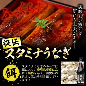【訳あり】鹿児島県産！秘伝のスタミナうなぎ蒲焼き＜計800g以上／5尾以上＞肝吸いセット！ d0-038