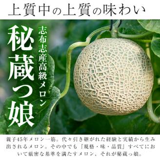 【春限定】極上メロン「秘蔵っ娘」白玉(青肉)2個 メロン マスクメロン 果物 くだもの デザート 青肉 b5-037-s