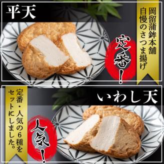 本場鹿児島のさつま揚げセット(全6種・計16枚) a1-100