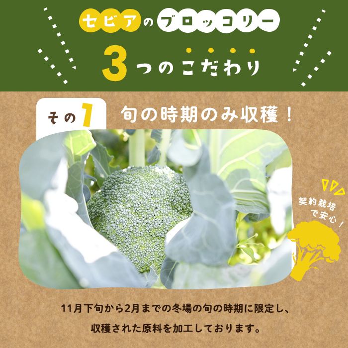【志布志市制20周年記念】鹿児島県産 冷凍ブロッコリー(計1.2kg) ブロッコリー 野菜 冷凍 カット カット野菜 国産 簡単 手軽 サラダ 味噌汁 スープ お弁当 p9-044