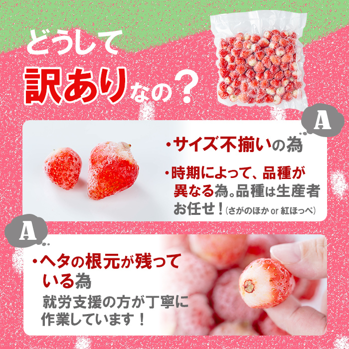 【訳あり・数量限定】品種は生産者にお任せ！鹿児島県産冷凍いちご(750g×2P 計1.5kg)? いちご イチゴ 苺 ジャム スムージー 冷凍 小分け 紅ほっぺ さがほのか 真空 a0-326