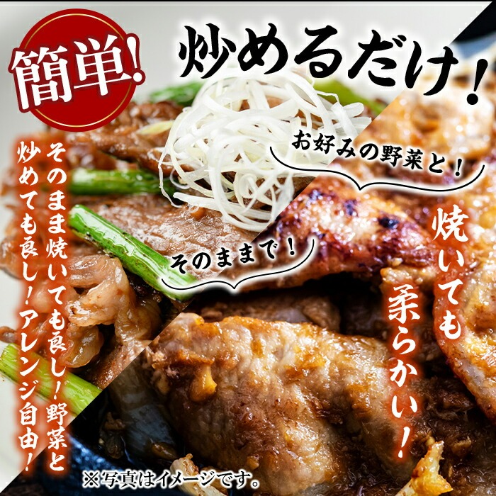 九州産豚ロース(生姜焼き・味噌漬け/各100g×3P 計6P 600g)  国産 九州産 豚 豚肉 生姜焼き 味噌漬け 味付け 肉 味付け肉 簡単 焼くだけ 小分け 冷凍 おかず お弁当 a0-376
