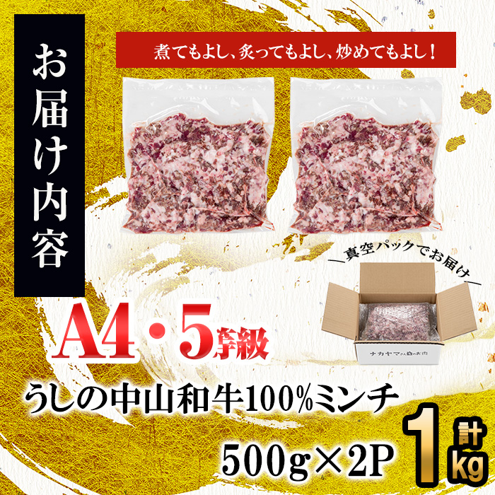 和牛100%ミンチ1kg(500g×2袋) 黒毛和牛 和牛 肉 牛肉 国産 九州産 鹿児島県産 ミンチ ひき肉 ハンバーグ 日本一 a1-132