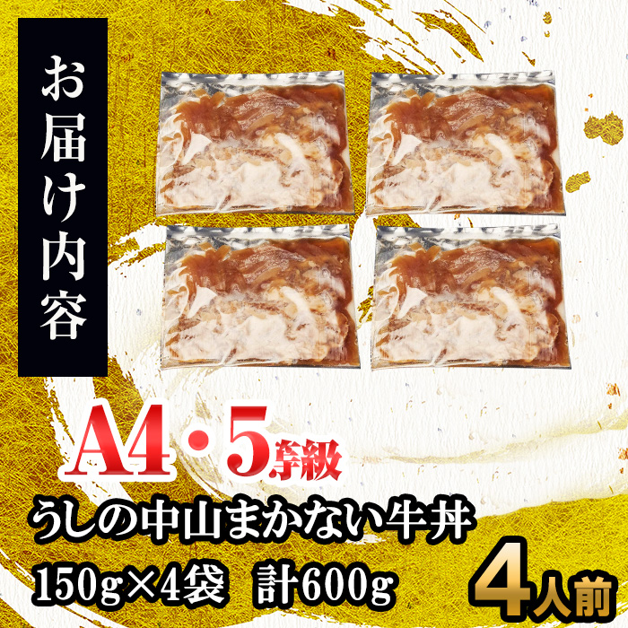 CHUZANのまかない牛丼4人前 計600g(150g×4袋) 黒毛和牛 和牛 肉 牛肉 国産 九州産 鹿児島県産 牛丼 惣菜 日本一 a1-134