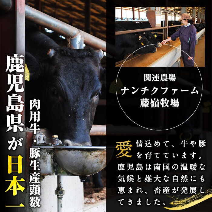 国産黒毛和牛ホルモン 焼肉用 (400g×2P計800g) 黒毛和牛 肉 牛肉 国産 焼肉 バーべキュー 小分け もつ鍋 モツ鍋 ホルモン a1-153