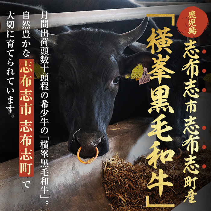 月間25セット限定！【数量限定】鹿児島県志布志市産横峯黒毛和牛のモツ鍋セット(4～5人前) 鹿児島県産 国産 牛肉 牛 希少牛 もつ モツ もつ鍋 モツ鍋 ホルモン 鍋 a3-211