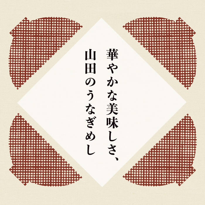 鹿児島県産うなぎ使用！山田のうなぎめし1箱(6食入) うなぎ 鰻 国産 鹿児島 蒲焼き かばやき タレ ご飯 おこわ うなぎめし a3-237