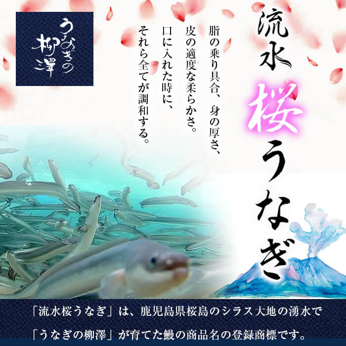 うなぎの柳澤 流水桜うなぎの蒲焼き 計3尾＜計360g＞ うなぎ 鰻 ウナギ 国産 鹿児島県産 九州産 蒲焼き 冷凍 うな重 ひつまぶし a4-096