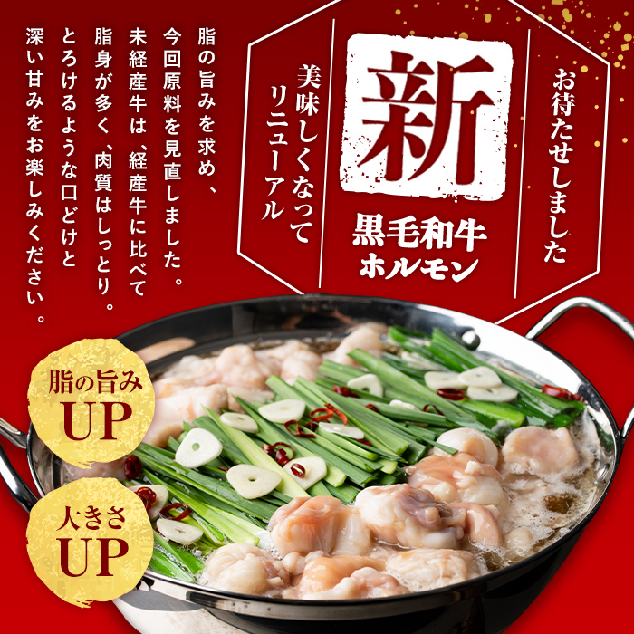 国産黒毛和牛ホルモン もつ鍋セット(6～9人前) 黒毛和牛 肉 牛肉 国産 もつ鍋 モツ鍋 ホルモン タレ 鍋 焼肉 バーべキュー 小分け a4-100