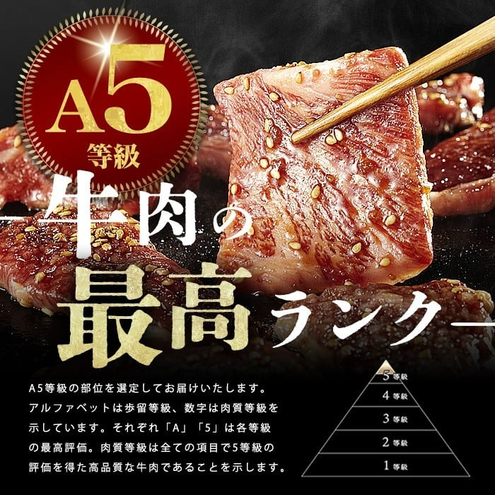 【小分け】＜A5等級＞鹿児島県産 黒毛和牛 牛肉 赤身 焼肉＆しゃぶしゃぶ セット (焼肉200g×1P/スライス200g×2P)＜計600g＞ 牛肉 肉 小分け 鹿児島県産 国産 A5 赤身 焼肉 すき焼き しゃぶしゃぶ 黒毛和牛 a4-107