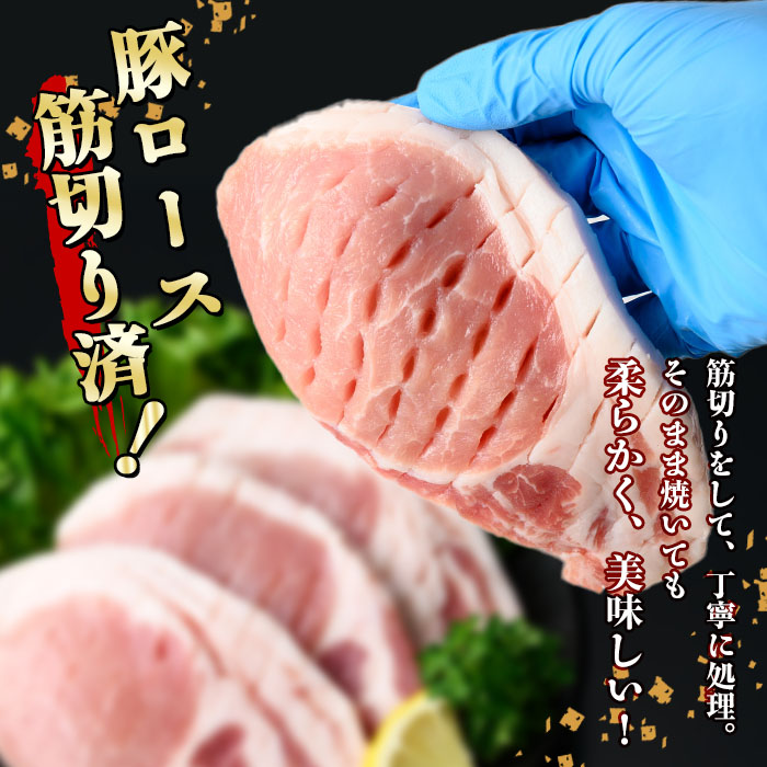 小分け・真空パック!九州産豚肉3種(計3.1kg)? 小分け 真空パック 豚肉 豚 ロース バラ モモ ウデ バラエティ セット とんかつ とんてき 野菜炒め a5-319