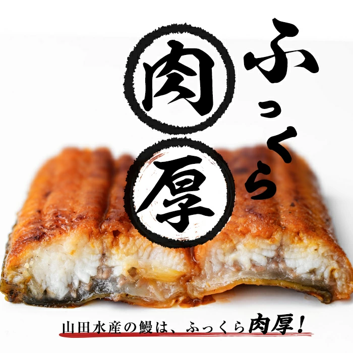 【無薬養鰻】 鹿児島産 山田のうなぎ ＜計480g以上＞（160g以上×3尾） 肝串セット うなぎ 鰻 ウナギ 無薬 養鰻 無投薬 3尾 国産 九州産 蒲焼き かばやき 冷凍 うな重 ひつまぶし タレ 山椒 【ポータル限定】 a6-062-km