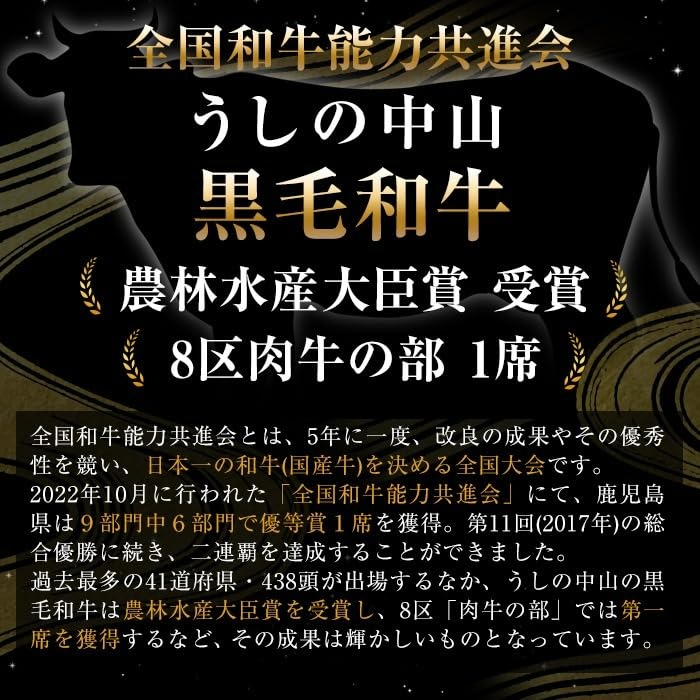 カルビブロック500g×1P 黒毛和牛 和牛 肉 牛肉 国産 九州産 鹿児島県産 焼肉 カルビ 日本一 b0-203