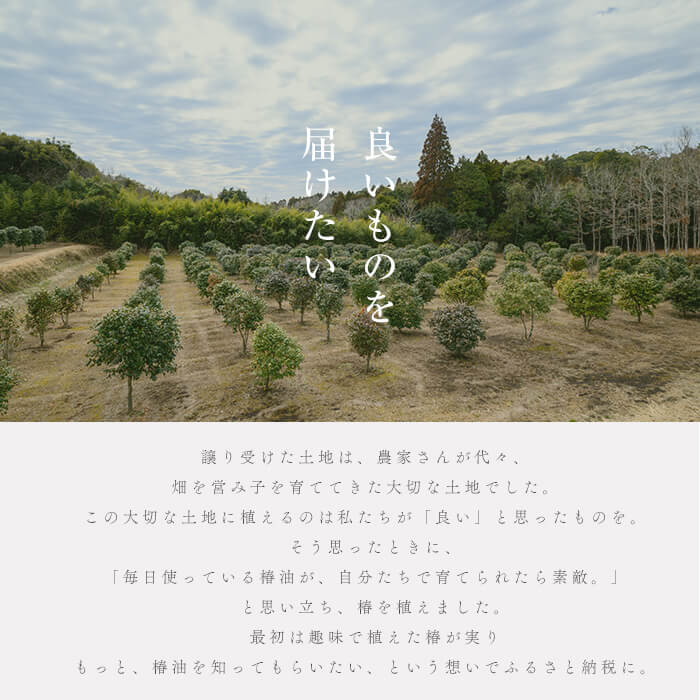 志布志椿苑 椿油ドレッシング(215ml×3本) ドレッシング にんじん ビーツ 玉ねぎ 野菜 サラダ セット 椿油 オレイン酸 b2-039