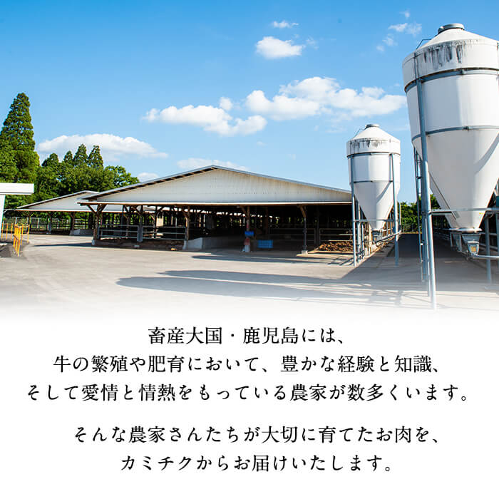 【小分け】＜A5等級＞鹿児島県産黒毛和牛 すき焼きしゃぶしゃぶセット(霜降りスライス・赤身スライス各200g×3P ヒウチしゃぶしゃぶセット) 牛肉 肉 小分け 鹿児島県産 国産 A5 すき焼き すきやき しゃぶしゃぶ 黒毛和牛 赤身 霜降り 食べ比べ 【志布志市制20周年記念】 b6-022-huc