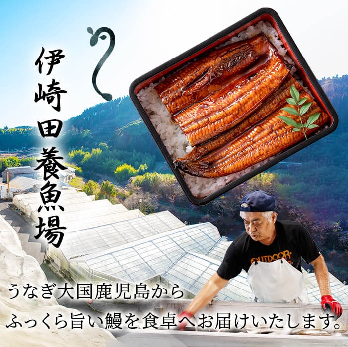 鹿児島県産 伊崎田のうなぎ蒲焼刻みうなぎ 50g×15袋(計750g) 鰻 うなぎ ウナギ きざみ鰻 刻みうなぎ 刻み鰻 蒲焼き かばやき 国産 九州産 鹿児島県産 冷凍 レンジ 簡単 うな丼 ひつまぶし 惣菜 おかず 小分け b7-027