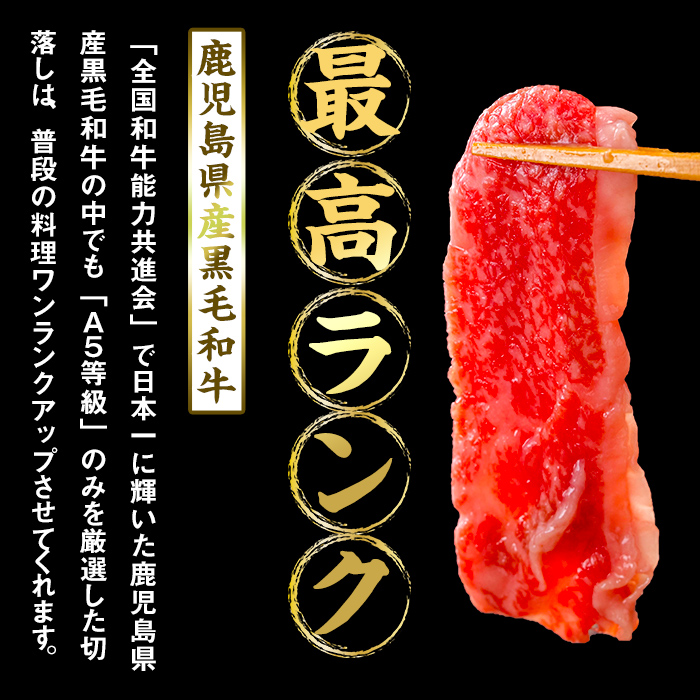 【小分け】＜A5等級＞鹿児島県産黒毛和牛 切り落とし(250g×10P・計2.5kg) 牛肉 肉 小分け 切落し 切り落とし 切り落し 国産 鹿児島県産 黒毛和牛 A5 全国和牛能力共進会 牛丼 c0-121