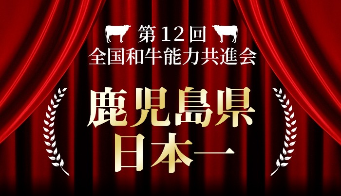 うしの中山 A4・A5等級黒毛和牛 ホルモン（大腸） 計3kg（500g×6袋）黒毛和牛 和牛 肉 牛肉 国産 九州産 鹿児島県産 ホルモン 焼肉 日本一 c0-135