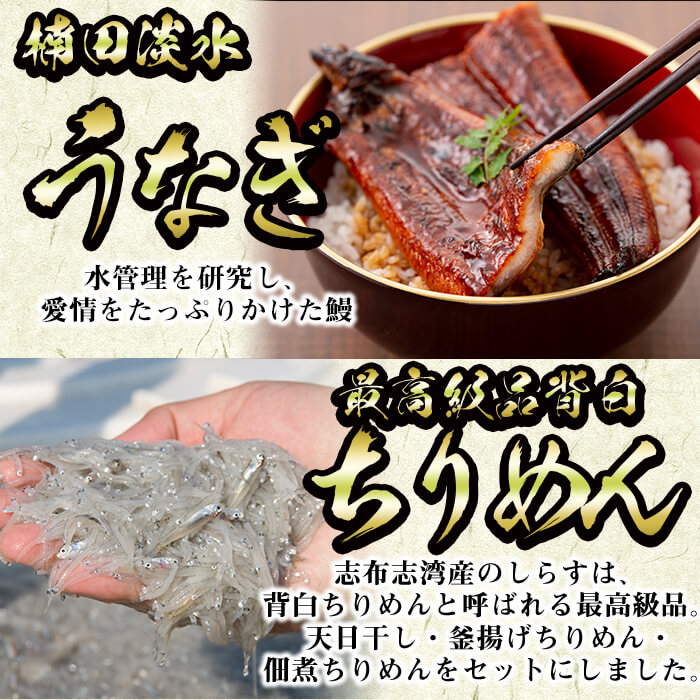 極うなぎ蒲焼130g以上×8尾(計1040g以上)+佃煮ちりめん90g+釜揚げちりめん100g×3個+ちりめん100g うなぎ 鰻 ウナギ 蒲焼 8尾 真空パック 鰻重 うな丼 ちりめん しらす ちりめんじゃこ e7-020
