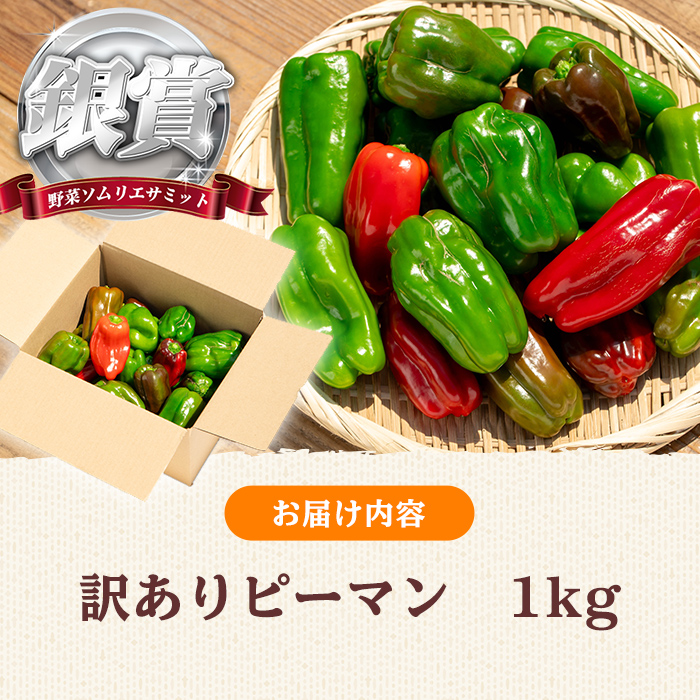 志布志産訳ありピーマン(1kg) ピーマン 訳あり 野菜 やさい ぴーまん 新鮮 常温 常温保存 おかず 詰め合わせ 銀賞 銀賞受賞 野菜ソムリエサミット p5-050