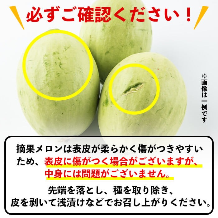 【期間限定・数量限定】鹿児島県志布志産 摘果メロン(子メロン・小メロン) 2kg a0-330