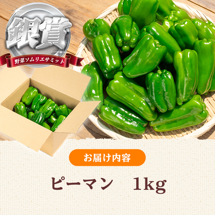 志布志産ピーマン(1kg) ピーマン 野菜 やさい ぴーまん 新鮮 常温 常温保存 おかず 詰め合わせ 銀賞 銀賞受賞 野菜ソムリエサミット p8-149