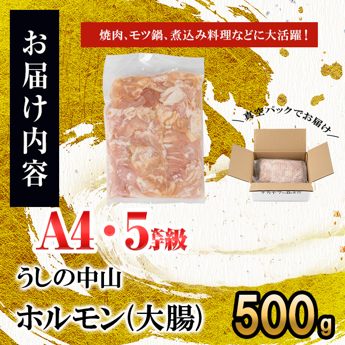 うしの中山 ホルモン(大腸)500g(500g×1袋) 黒毛和牛 和牛 肉 牛肉 国産 九州産 鹿児島県産 ホルモン 焼肉 日本一 p9-028