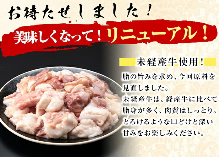 国産黒毛和牛ホルモン もつ鍋セット(2～3人前) 黒毛和牛 肉 牛肉 国産 もつ鍋 モツ鍋 ホルモン タレ 鍋 焼肉 バーべキュー 小分け p9-042