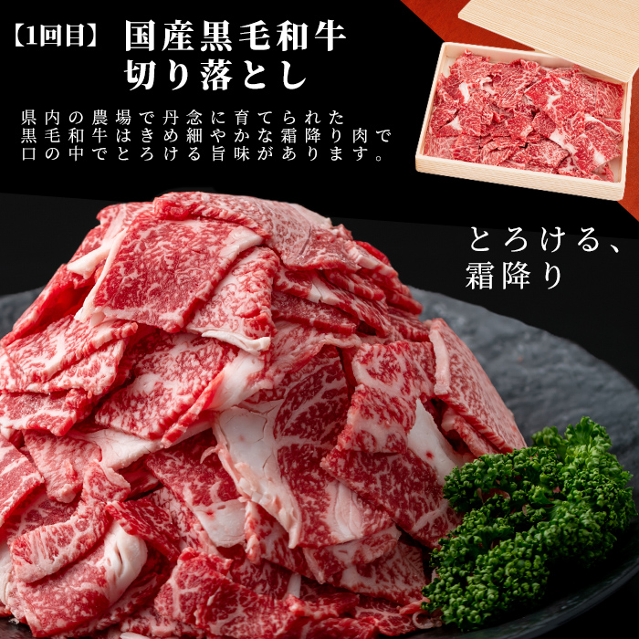 【定期便 全2回】国産 黒毛和牛2種お楽しみ定期便(計1.9kg) 国産 黒毛和牛 切り落とし 4等級 以上 九州産 ロース 大判 焼肉 和牛 牛 牛肉 焼き肉 冷凍 小分け 訳あり 定期便 頒布会 t0029-001