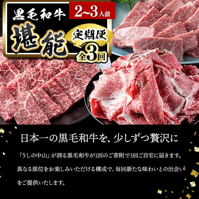 【定期便全3回】＜A4・A5等級＞黒毛和牛堪能〈お試し〉定期便（2～3人分）総重量900g 鹿児島県産 黒毛和牛 和牛 肉 牛肉 国産 九州産 鹿児島県産 焼肉 焼き肉 BBQ ランキング 人気 A4 A5 赤身 切り落とし カルビ お楽しみ 食べ比べ 2人前 3人前 t0035-002