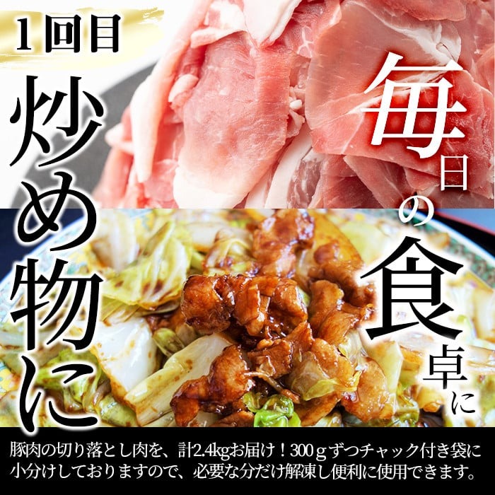 【定期便全3回】九州産 豚肉定期便(3ヵ月連続・毎回2kg以上・計7.7kg以上) 定期便 お楽しみ 頒布会 国産 肉 豚肉 豚バラ ロース 冷凍 小分け すき焼き しゃぶしゃぶ 豚しゃぶ ランキング 人気 とんかつ トンカツ t0040-013-03