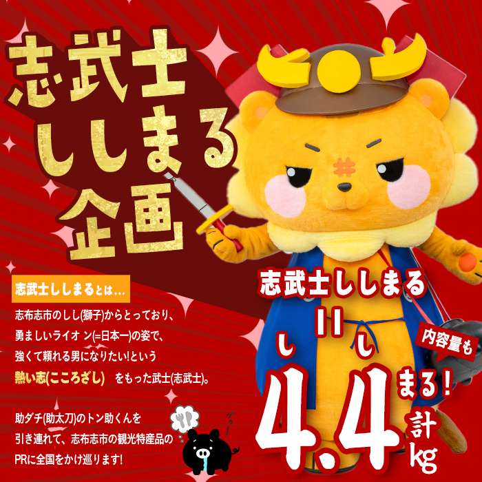 【定期便全4回】ししまる牛・豚定期便B(4ヶ月連続・計4.4kg) 黒毛和牛 国産牛 九州産 豚 豚肉 肉 牛肉 国産 小分け 真空包装 冷凍 t0051-002