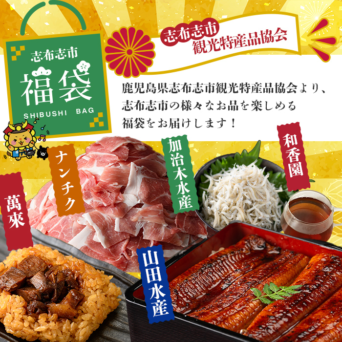 【定期便全３回】志布志市福袋！鰻とおかずいろいろセット(霧島湧水鰻2尾＆釜揚げちりめん＆黒豚ウデ切り落とし＆ウーロン紅茶＆角煮飯) ウナギ 蒲焼 2尾 鰻重 うな丼 黒豚 しらす ちりめんじゃこ バラエティ 食べ比べ t0084-015