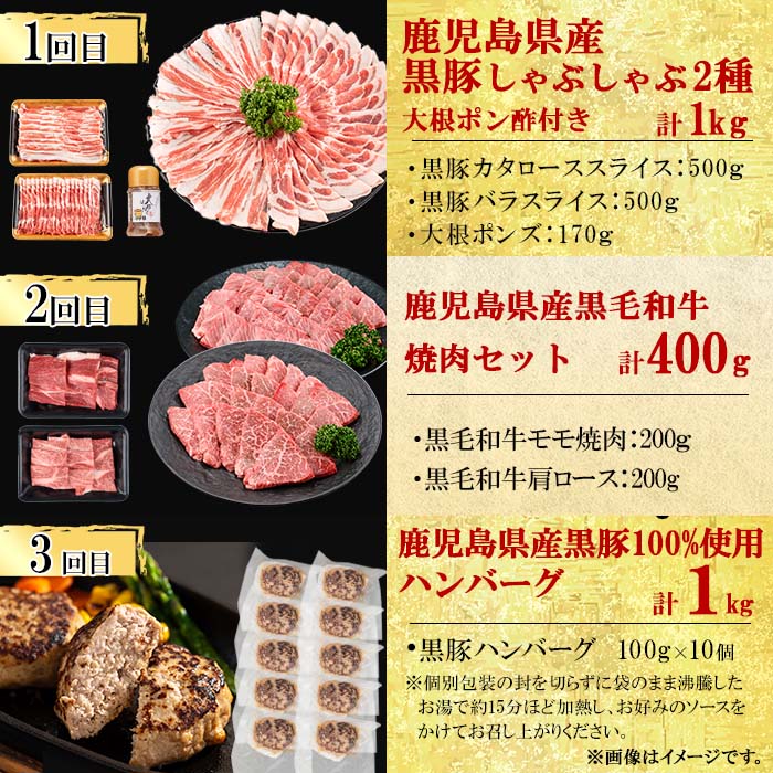 【定期便・全12回】ナンチクのお肉を楽しむ定期便！ナンチク厳選コース！ 総量8.5kg超! 牛肉 豚肉 鹿児島県産 国産 黒毛和牛 ステーキ すきやき しゃぶしゃぶ 焼肉 BBQ ウインナー ソーセージ ハム ローストビーフ 生ハム 定期便? t0165-001