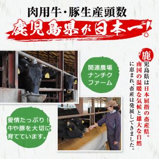 ＜定期便・全3回＞鹿児島県産 黒毛和牛・黒豚を堪能できる定期便(合計2.6kg) t0072-002