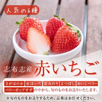 鹿児島県産いちご！ 品種おまかせ赤いちご8Pセット(計2kg・約270g×8P) c0-016