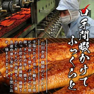 【数量限定】チンする♪霧島湧水鰻重セット 2食入 620g(蒲焼半身＋味付けご飯 [計310g×2食]) 鰻 ウナギ うなぎ うな重 鰻重 惣菜 おかず 簡単 レンジ 温めるだけ a1-049
