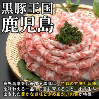 鹿児島県産黒豚切り落とし＜計2.4kg(300ｇ×8P)＞ a6-002