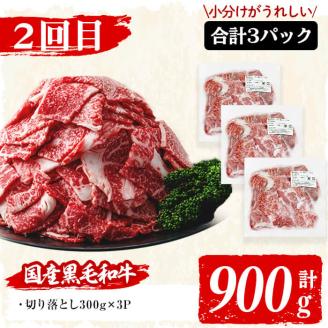 【定期便・全3回】国産黒毛和牛と九州産豚肉の食卓お助けゴーゴー定期便 計5.55kg t0037-002-02
