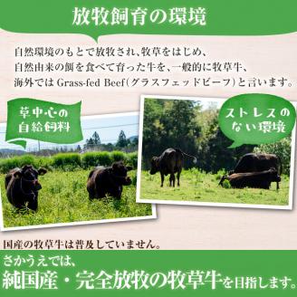 国産黒毛和牛 牧草育ちの里山牛 ローストビーフ用ブロック肉計1kg(500g×2パック) 黒毛和牛 和牛 肉 牛肉 国産 ローストビーフ ブロック 赤身 c5-027