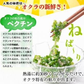 【志布志市制20周年記念】【数量限定】鹿児島県産 冷凍オクラスライス150g×6袋(900g) オクラ 野菜 冷凍 カット カット野菜 国産 簡単 手軽 サラダ 味噌汁 スープ a0-387