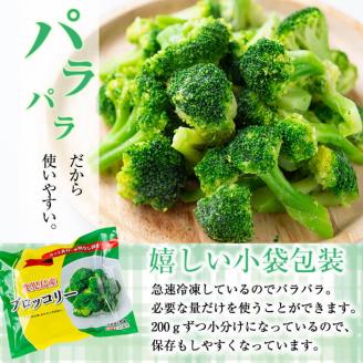 【志布志市制20周年記念】鹿児島県産 冷凍ブロッコリー(計1.2kg) ブロッコリー 野菜 冷凍 カット カット野菜 国産 簡単 手軽 サラダ 味噌汁 スープ お弁当 a0-388