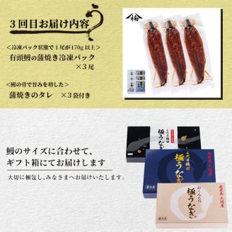 【定期便全3回】うなぎお楽しみ便！ t0047-002