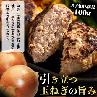 鹿児島県黒豚 100%使用 黒豚ハンバーグ(計1kg・100g×10個) a1-092