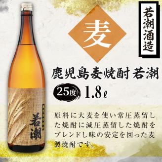 ＜入金確認後、2週間以内に発送！＞鹿児島麦焼酎＜若潮＞(各1.8L・計6本) c4-012-2w