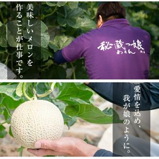 【春限定】極上メロン「秘蔵っ娘」赤玉(赤肉)1個 メロン マスクメロン 果物 くだもの デザート 赤肉 a5-060-s