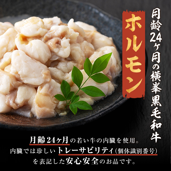 月間25セット限定！【数量限定】鹿児島県志布志市産横峯黒毛和牛のモツ鍋セット(4～5人前) 鹿児島県産 国産 牛肉 牛 希少牛 もつ モツ もつ鍋 モツ鍋 ホルモン 鍋 a3-211