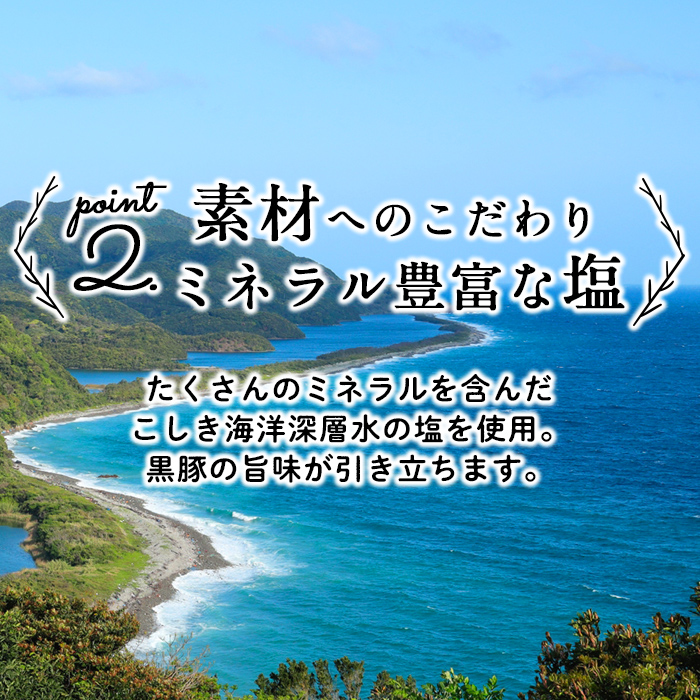 鹿児島県産黒豚使用！黒豚MEGUMIウインナー3種セット(プレーン・ジンジャー・ガーリック 各3P)計9P 国産 あらびき 粗挽き 粗びき ウィンナー ソーセージ 豚肉 肉 個包装 小分け 惣菜 a3-204