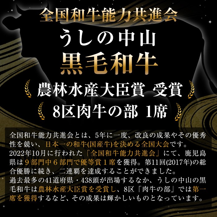 鹿児島県産黒毛和牛ミニステーキ(2人前200g/100g×2枚) 黒毛和牛 和牛 ステーキ 牛肉 国産 日本一 人気 贈答 冷凍 a3-238